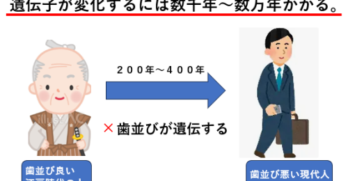 江戸時代の人と現代の人を対比したイラスト。 「歯並びは遺伝ではなく生活習慣によって変化する」というメッセージを表している。 遺伝子が変化するには数千年かかるため、現代の歯並び悪化は口呼吸や嚥下など生活習慣が原因であることを示す図。