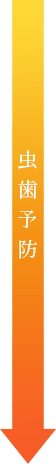 虫歯予防