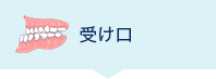 受け口