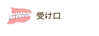 受け口